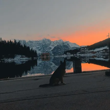 酒店 坎资湖畔旅馆 米苏丽娜